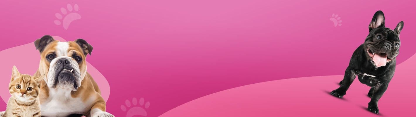 Dog rescue call to action background