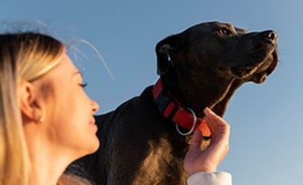 Dog Medical Treatment Cause