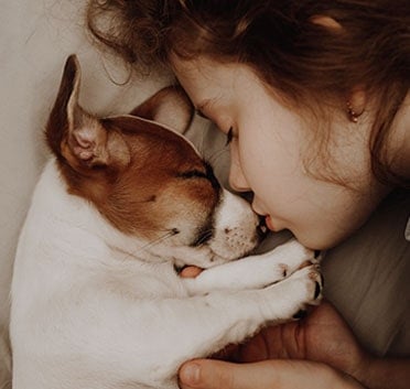 Love & Care for Dogs