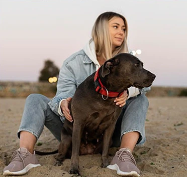 Dogs Finding Forever Homes