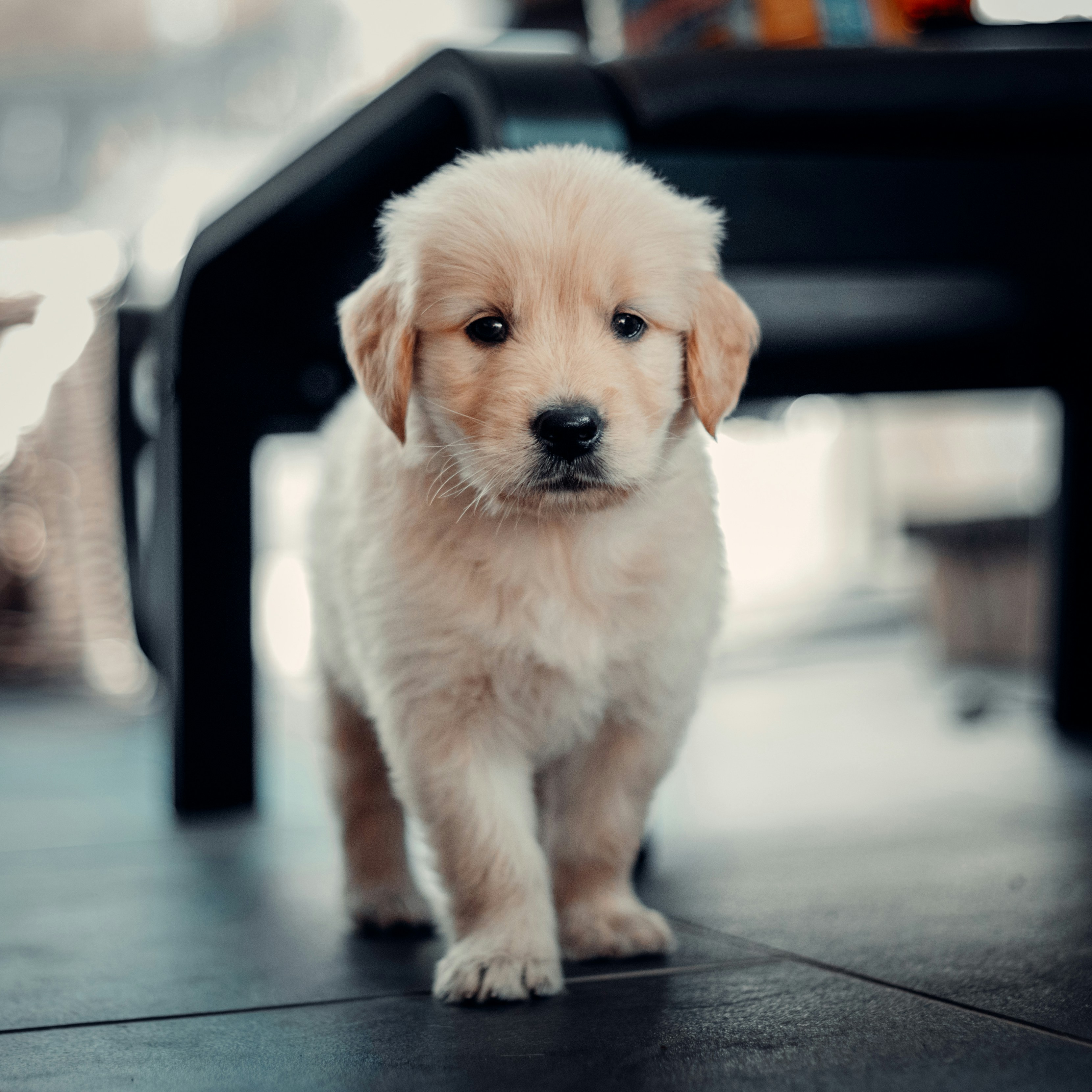 Aggressive Behavior Modification